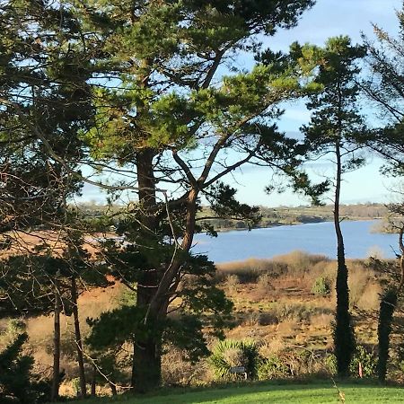 Mick'S Cottage Loughrea Bagian luar foto