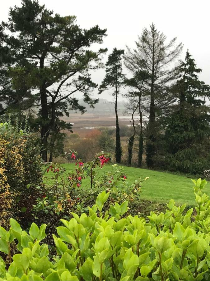 Mick'S Cottage Loughrea Bagian luar foto