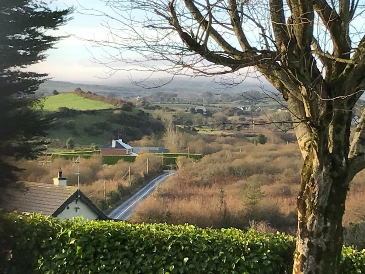 Mick'S Cottage Loughrea Bagian luar foto